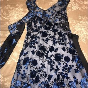 Blue velvet embroidered with black silk. Gorgeous